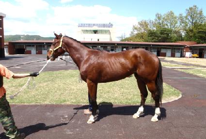 �鰭���� ����