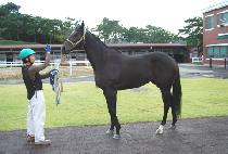 ���� (NEULPEUM) ����