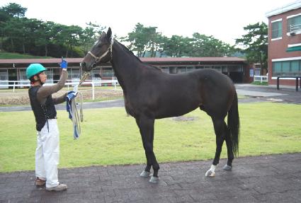 ���� ����