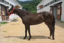 ���̷���� (I LOVE SONG) ����