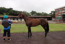 �ﱸ��� (SAMGU DAERO) ����