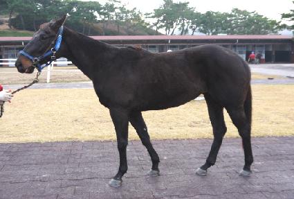 �������� ����