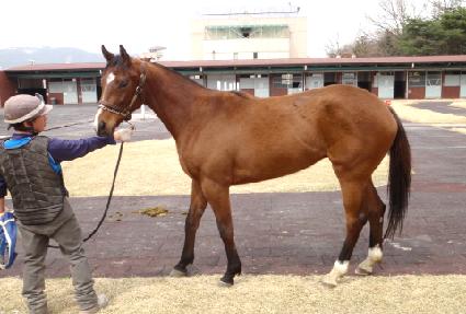 �������� ����