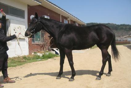 ���¹ݹ� ����