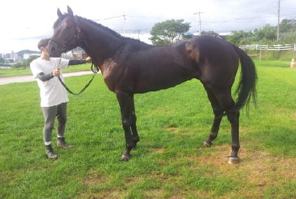 ��Ʈ���� ����