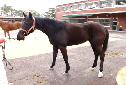 �������� ����