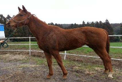 ��������� ����