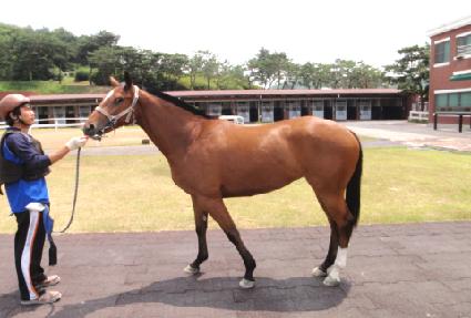 �𵨿����Ƽ ����