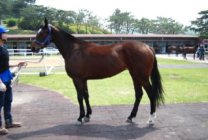 ���̹��̺��� ����