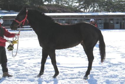 ��ո��̴��� ����