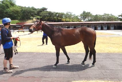 ȯ��� ����