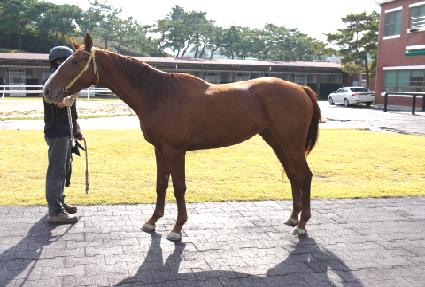 Ȳ�ݸ��� ����