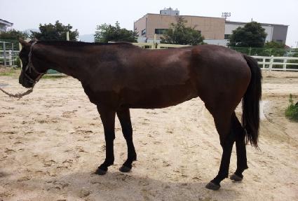 ������Ʈ ����