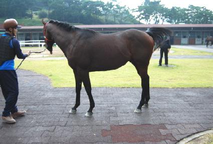 ĭ�Ǳ�� ����