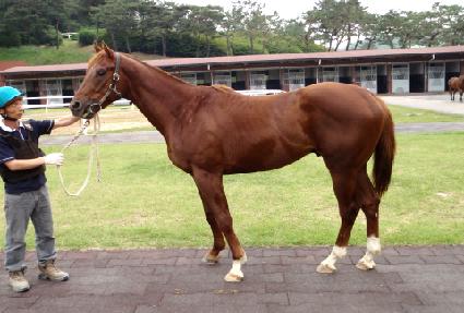 ��� ����