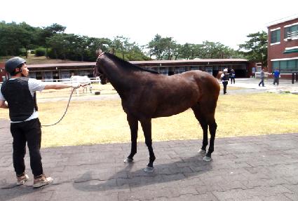 ���̵����̽� ����