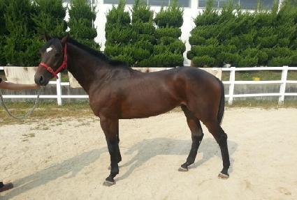 ����¡���� ����