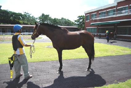 ù���� ����