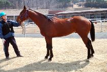 HEUNGNYONG BISANG picture