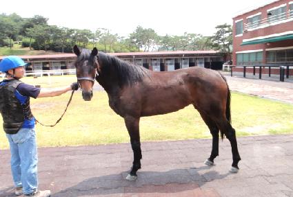 ��Ű�ݾ� ����