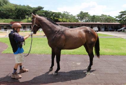 ������ ����