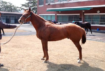 �����ν� ����