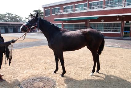 ���ھƶ� ����