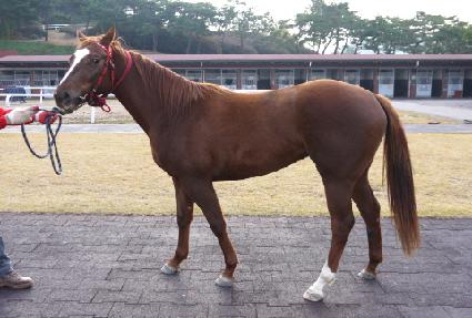 ���ϳ� ����