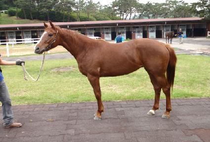 ĭ�ǲ� ����