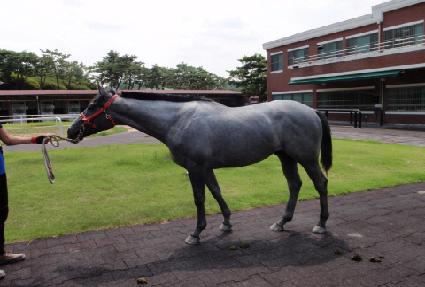 ���� ����