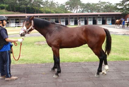 ��Ű�÷� ����