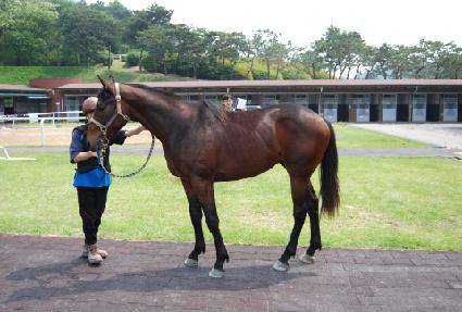 õ�ϴ뼼 ����