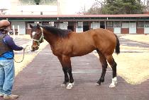 õ���� (CHEOLLANG SEONG) ����