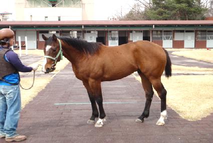 õ���� ����