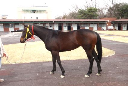 ������ ����