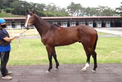 ��ǳ ����