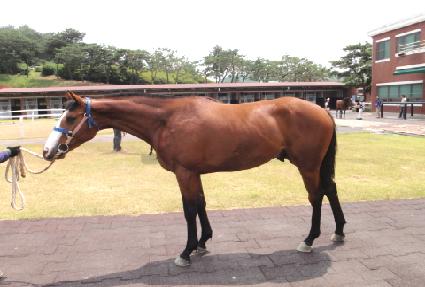 �ڳʽ��� ����