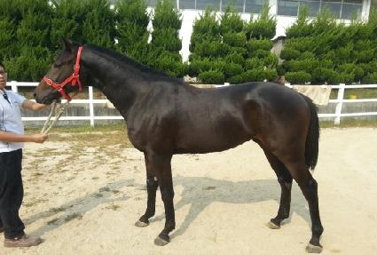 ����¡�йи� ����