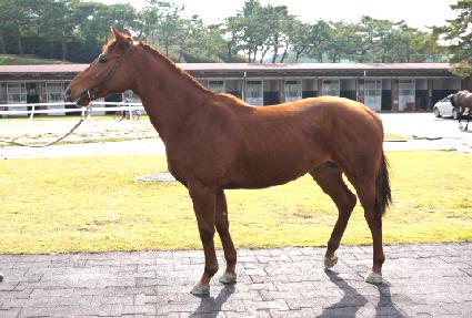 ������ ����