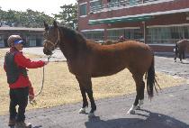 ���̸�ġ (DANCING REACH) ����