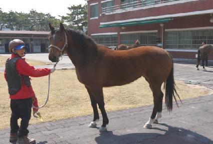 ���̸�ġ ����