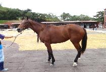 �����Ϸ� (NAUI HARU) ����