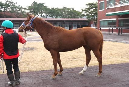 �Ŀ��÷��� ����