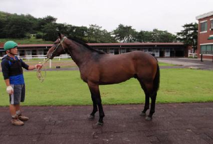 ����Ű�� ����