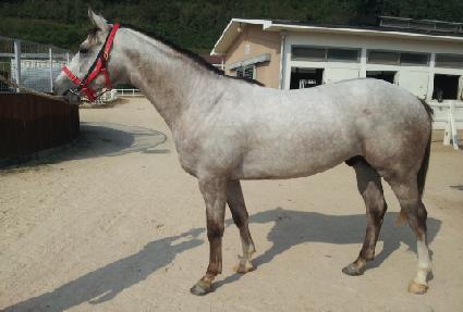 �����ѿ�� ����