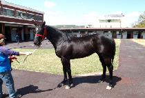 õ�󿵿� (CHEONSANG YEONGUNG) ����