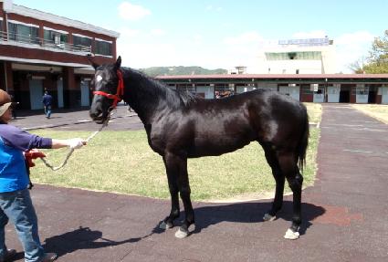 õ�󿵿� ����