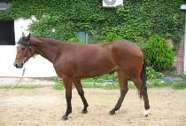 SEUNGNI LASER picture