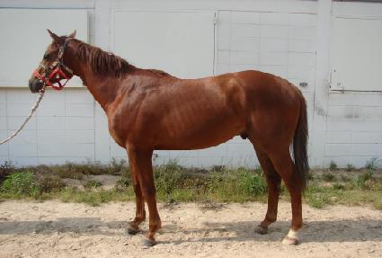 �Ŀ�Ǯ���� ����