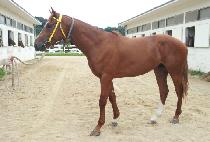 �����ǹ̼� (GANGJAUI MISO) ����